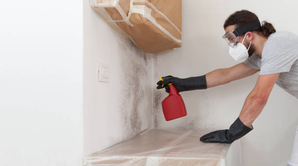 Professional Crawl Space Mold Removal technician working in Altamahaw, NC