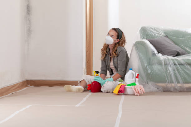 Reliable Crawl Space Mold Removal contractor in Altamahaw, NC by WQB Mold Removal